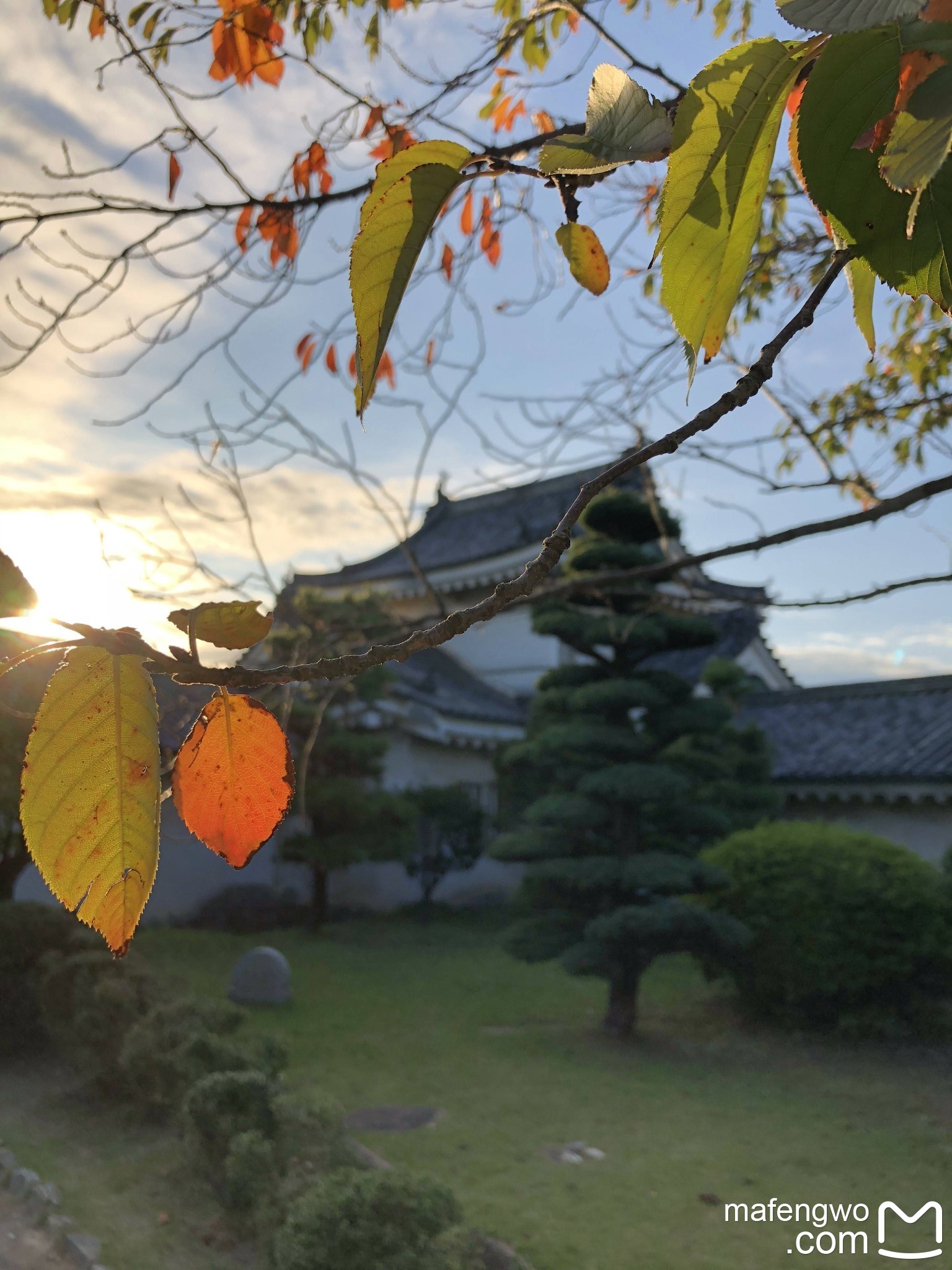 虾片和果酱的日本纪伊半岛之旅 —— 十日漫步和歌山、高野山、纪伊胜浦、熊野三山_游记