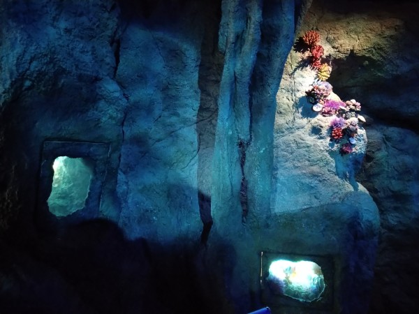 火箭发射视频大全儿童高清 wKgED1uKb5CAEgaBABr2nSQVMfM63.jpeg?imageView2%2F2%2Fw%2F600%2Fh%2F600%2Fq%2F90