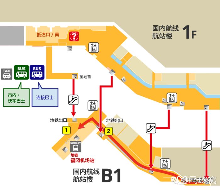潜派旅行