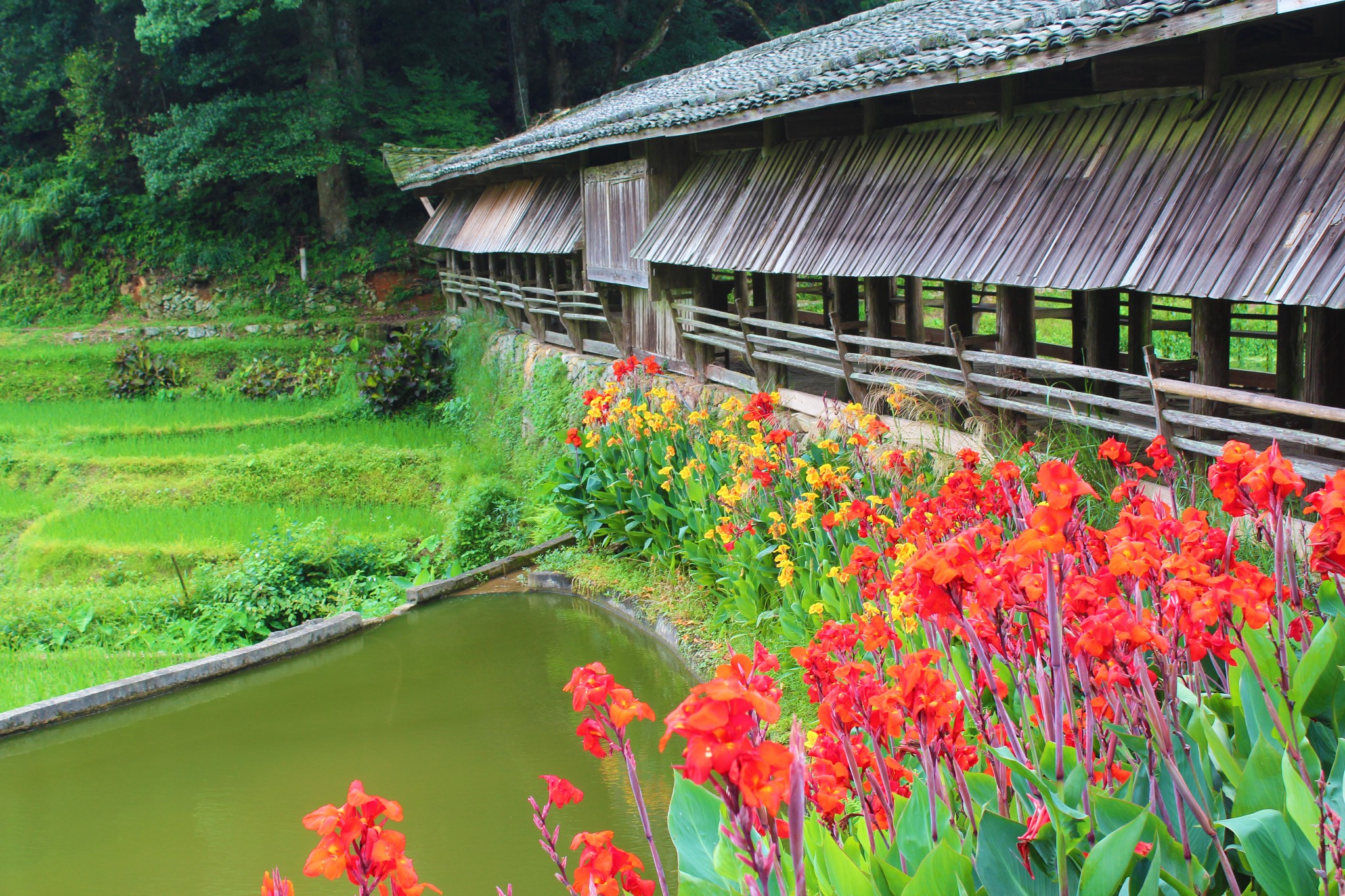 南平记忆6——茫荡宝珠古村(深山古村)