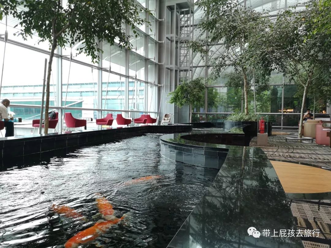 潜派旅行