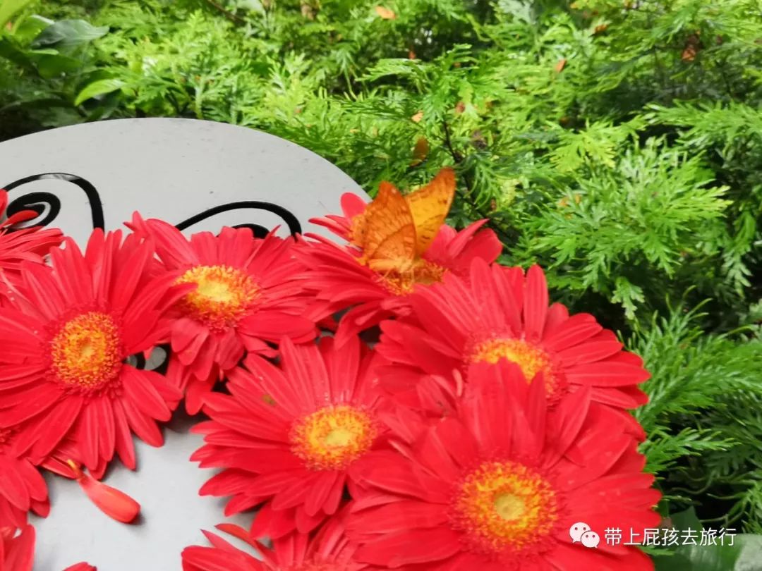 潜派旅行