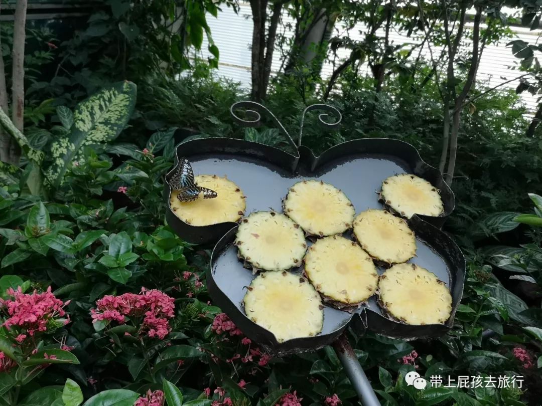 潜派旅行