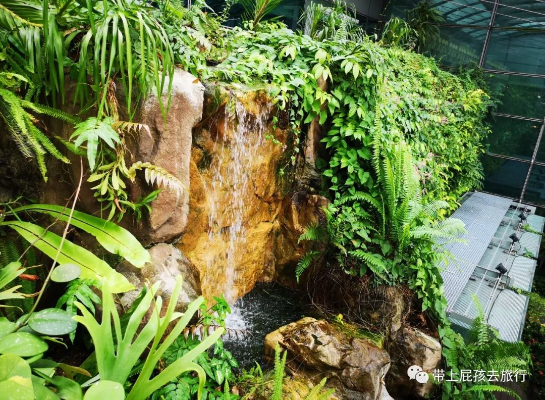 潜派旅行