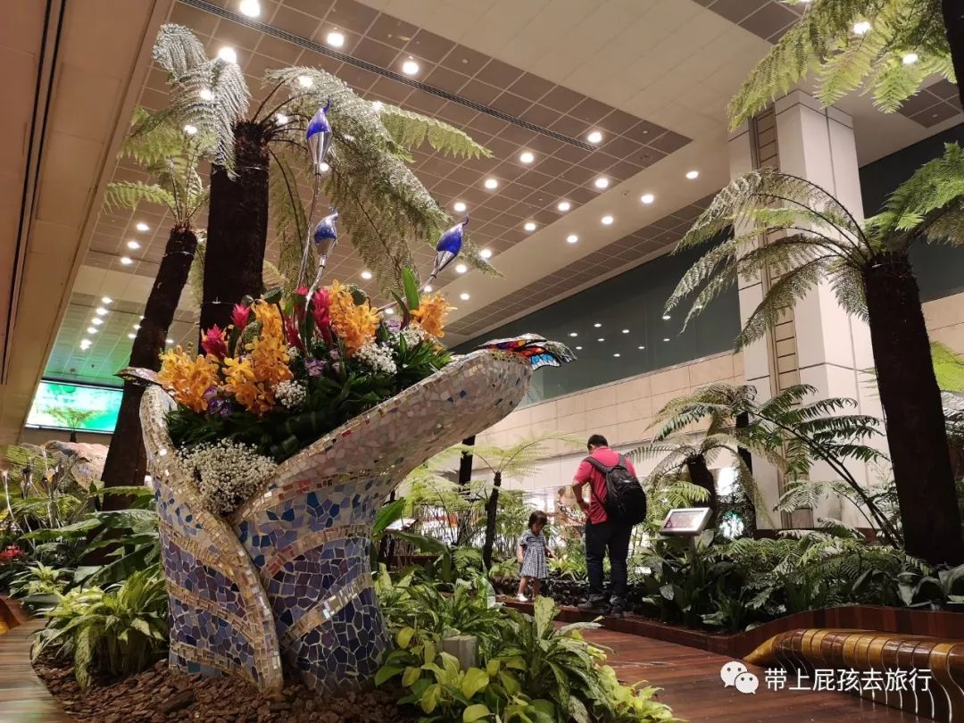 潜派旅行