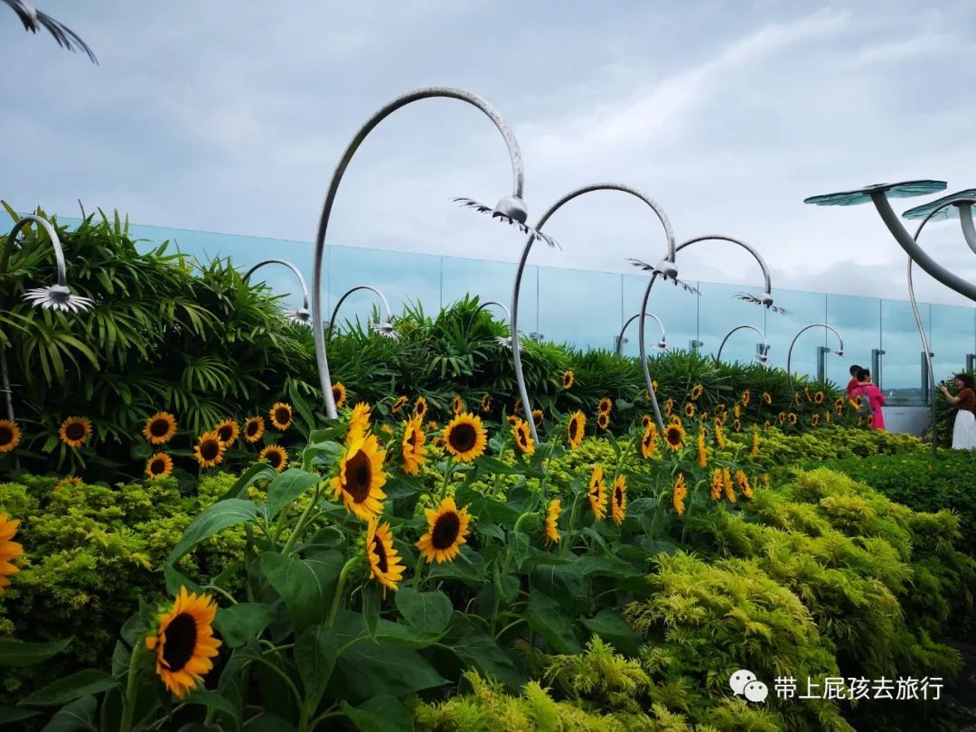 潜派旅行
