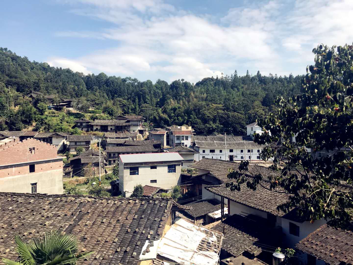济川村-穿越千年的世外桃源_游记