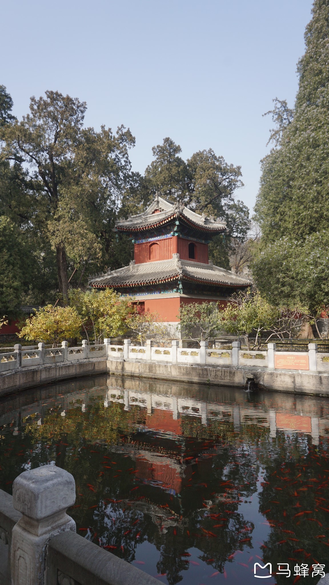 戊戌年初冬,闲游北京植物园