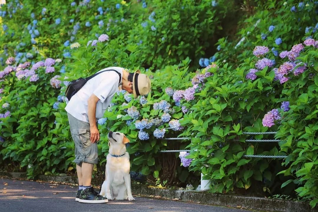 潜派旅行