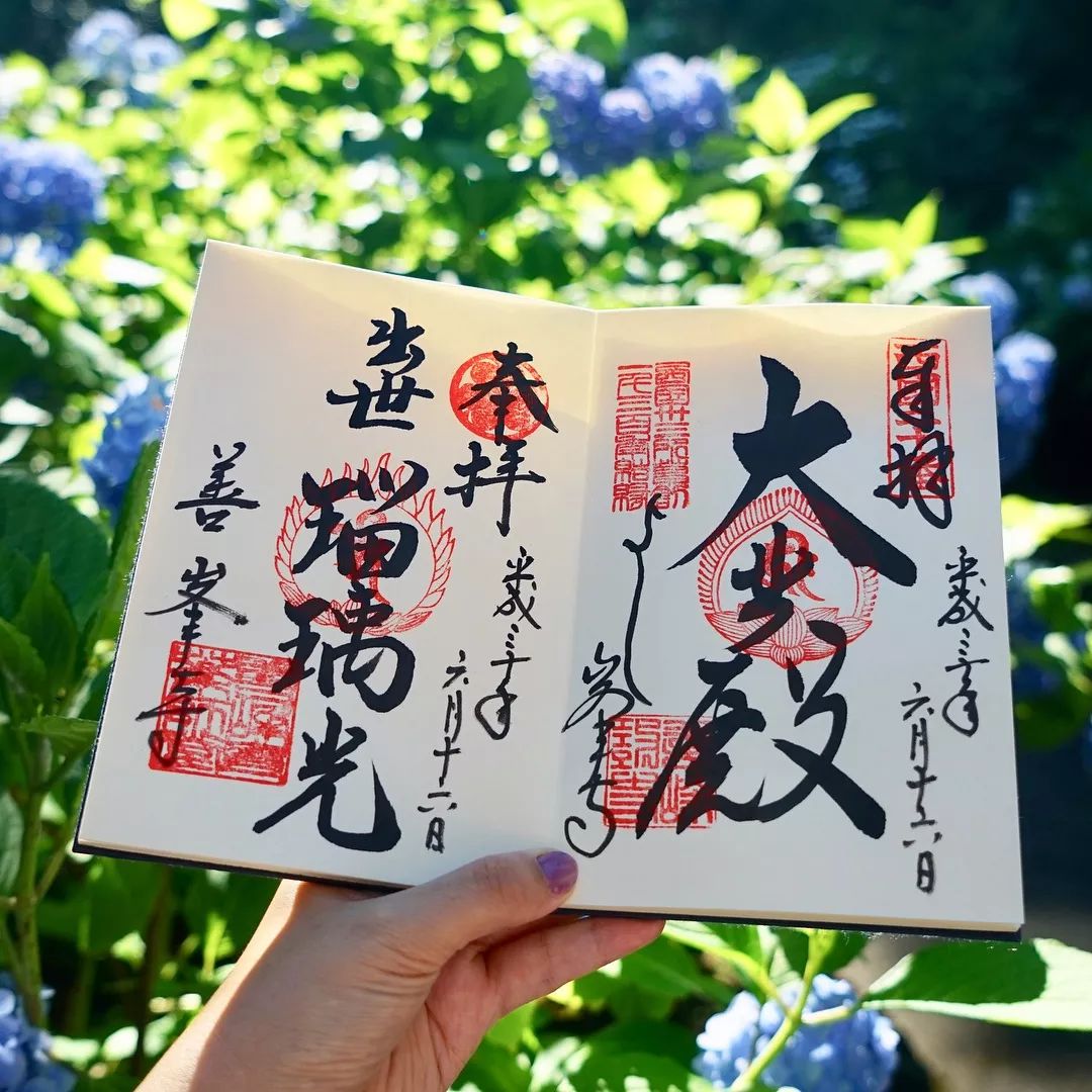 潜派旅行