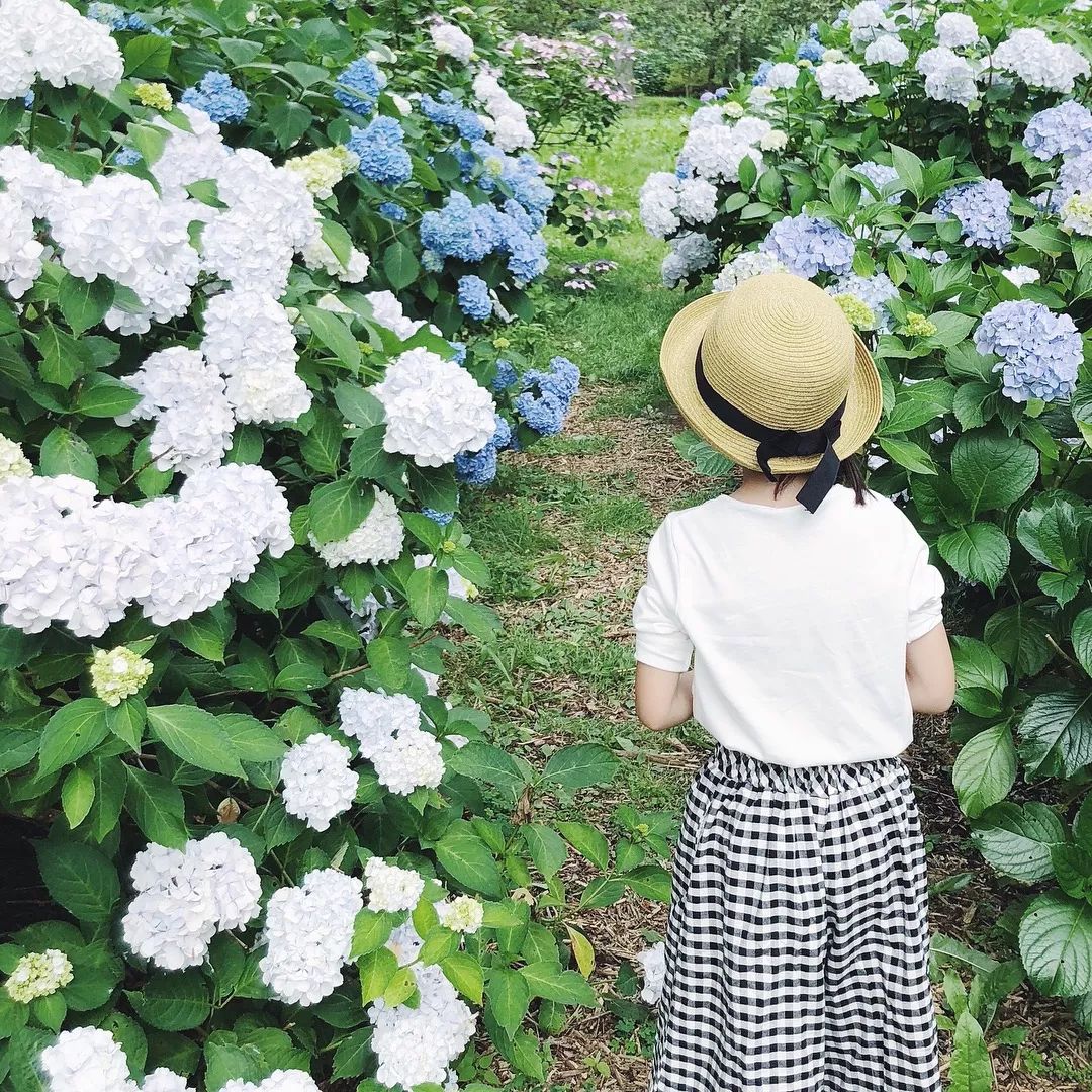 潜派旅行