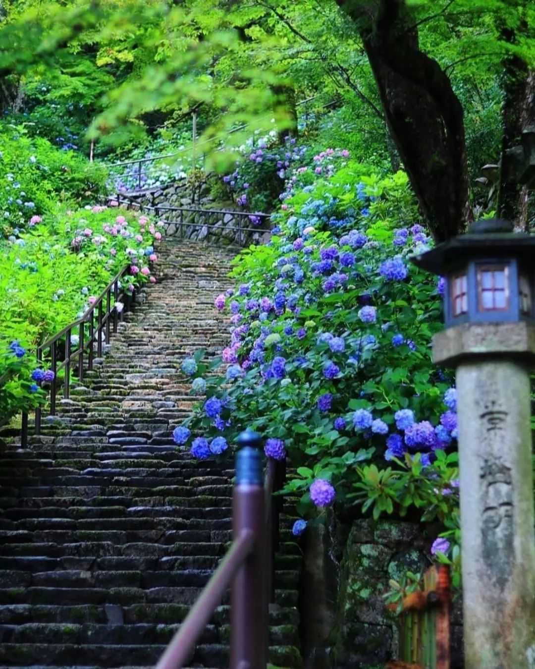 潜派旅行