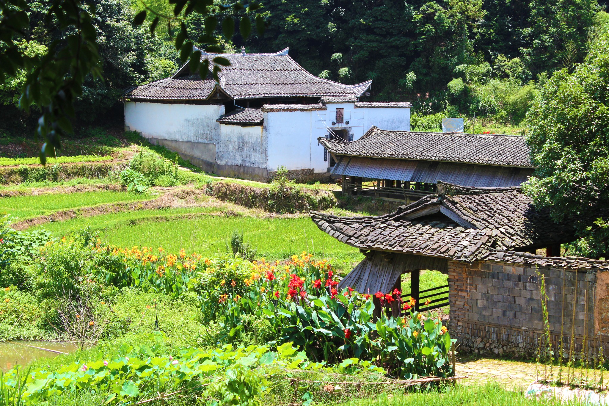 【延平区景点图片】宝珠村