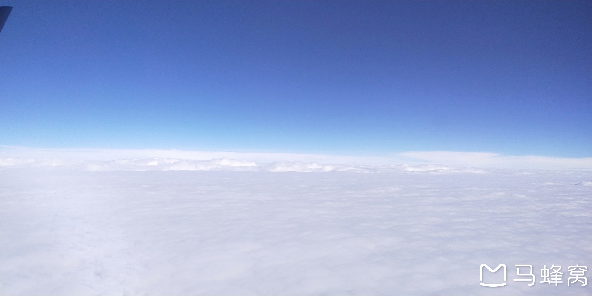 wKgED1vievGAJwkyAAMtbZF69mk77.jpeg?imageView2%2F2%2Fw%2F600%2Fh%2F600%2Fq%2F90