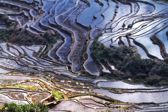 我打算3月7,8号去元阳,看元阳看天气都是有雨,建议去吗