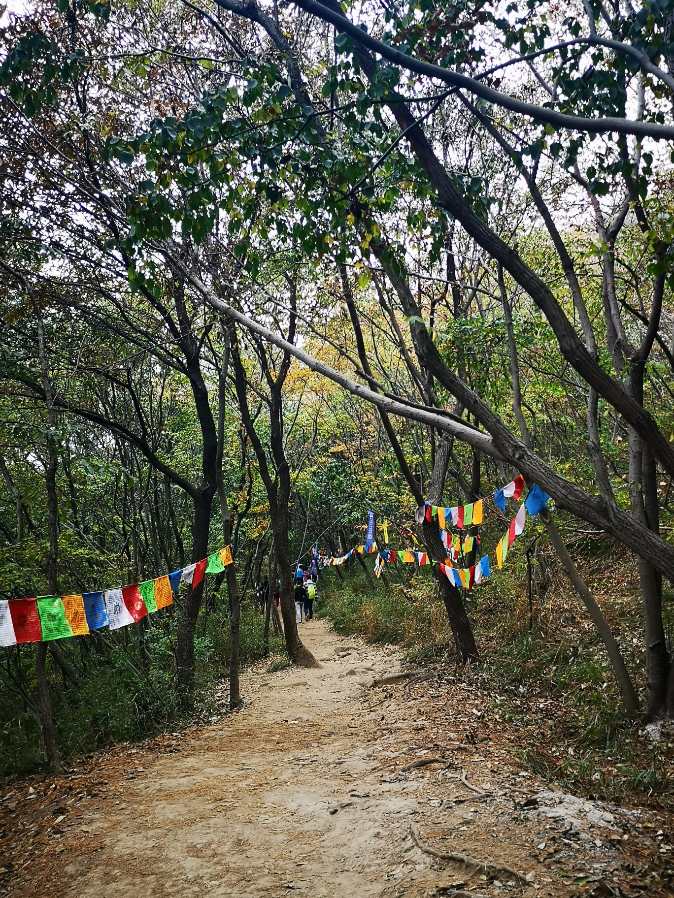 徒步苏州一:走灵天线,享受徒步的快乐
