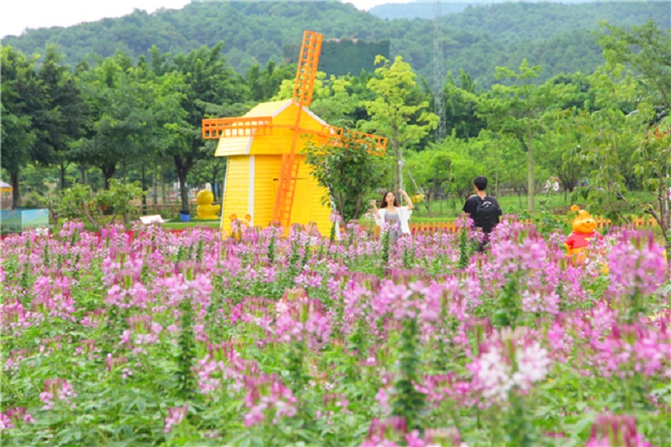 佛山高明盈香生态园门票(赏花/山水娱乐/农业观光生态