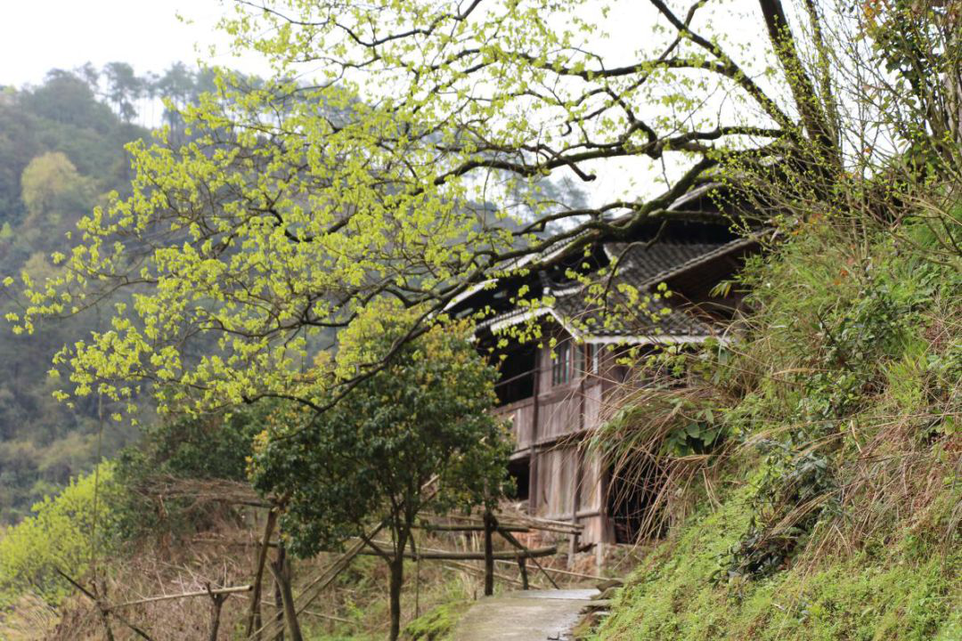 湖南湘西南最小众的旅游线路，皇都侗寨、水涌...