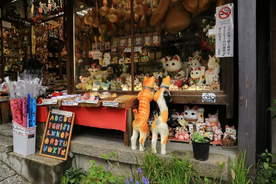 潜派旅行