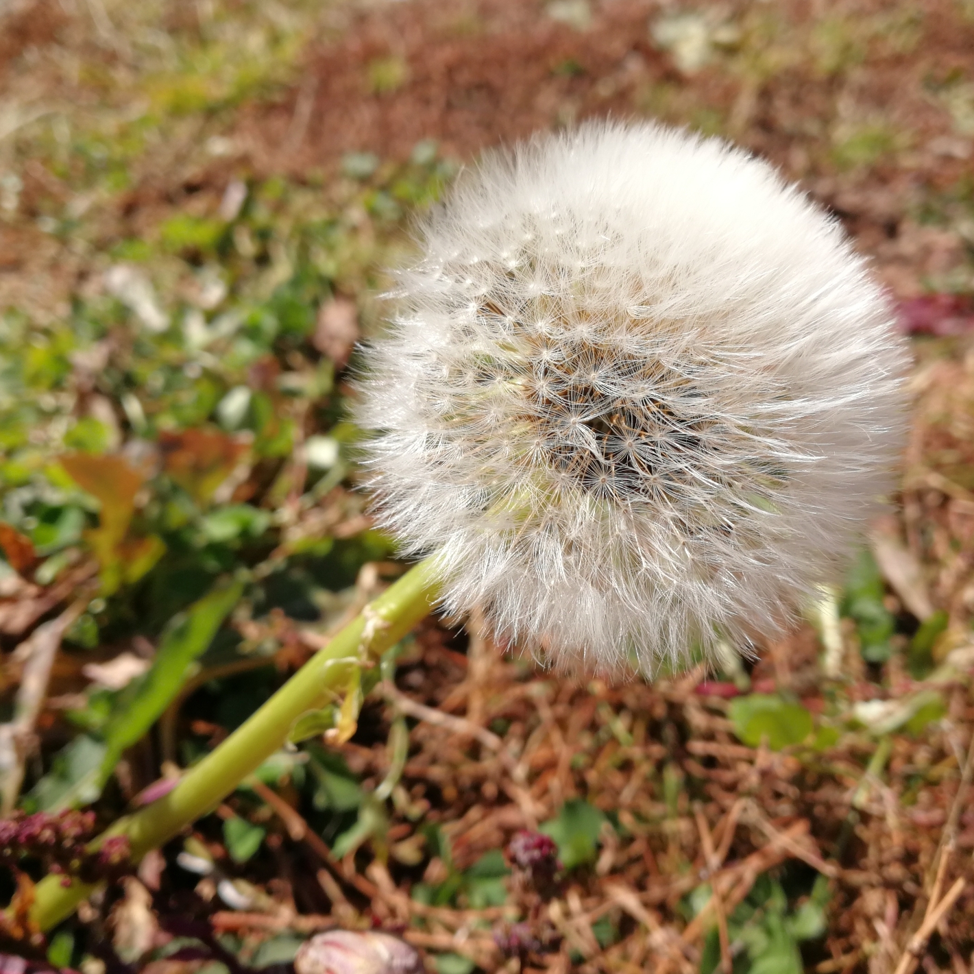 海滨音诗