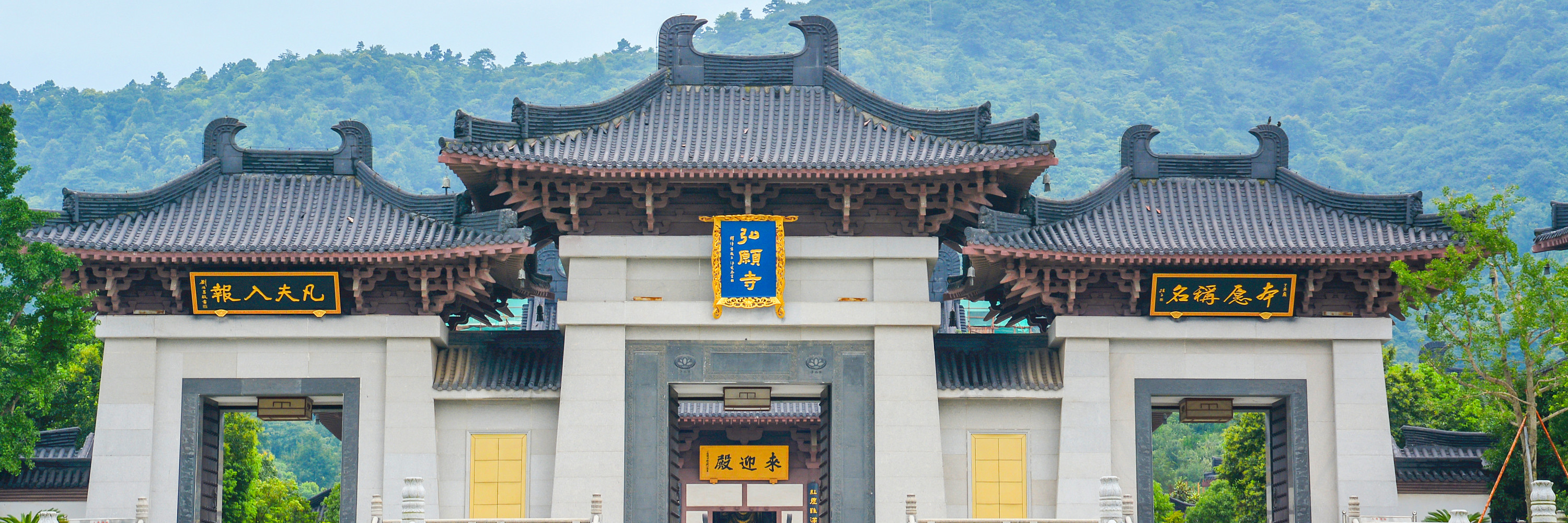 马蜂窝