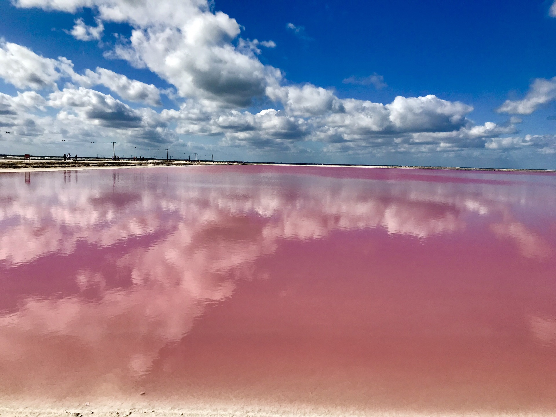 梦幻粉红湖_游记