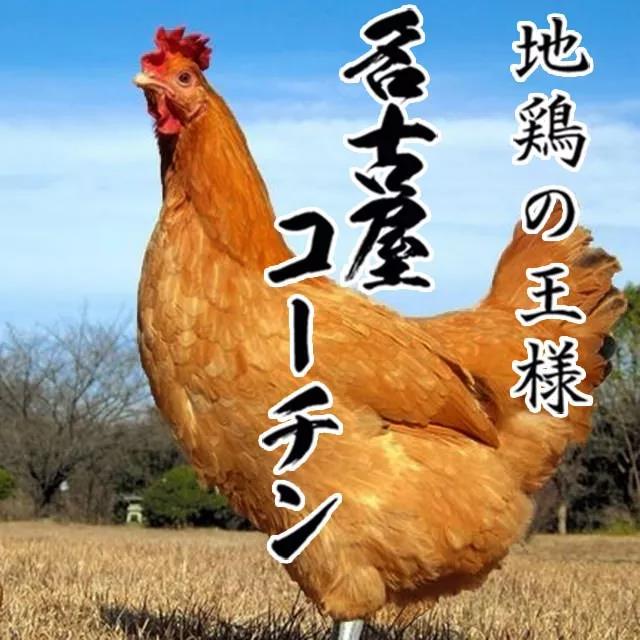 潜派旅行