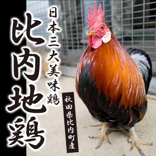 潜派旅行