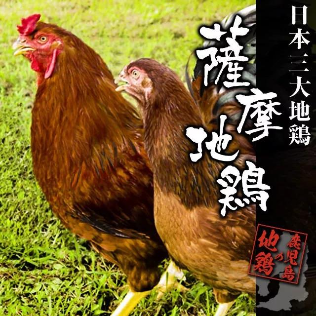 潜派旅行