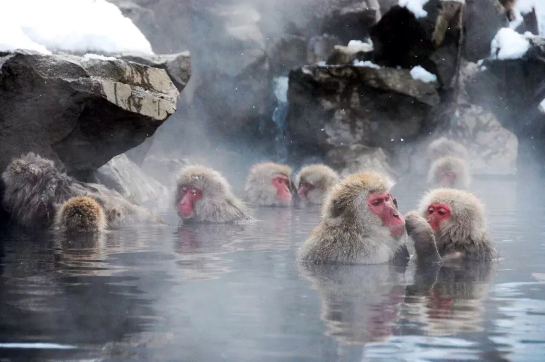 潜派旅行