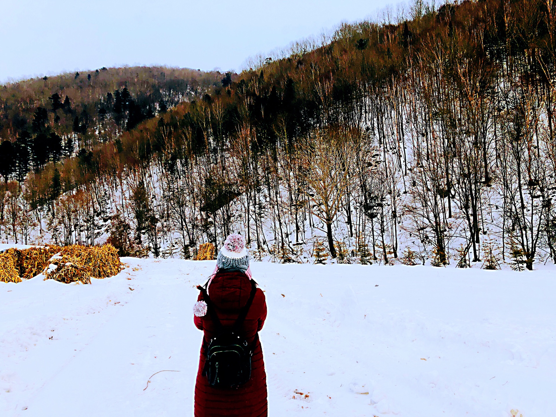 【 夢：走遍中国 】NO 40 ：黑龙江   【 浪迹在东北以北，只为漫天飞舞的飘雪而痴狂！】_游记