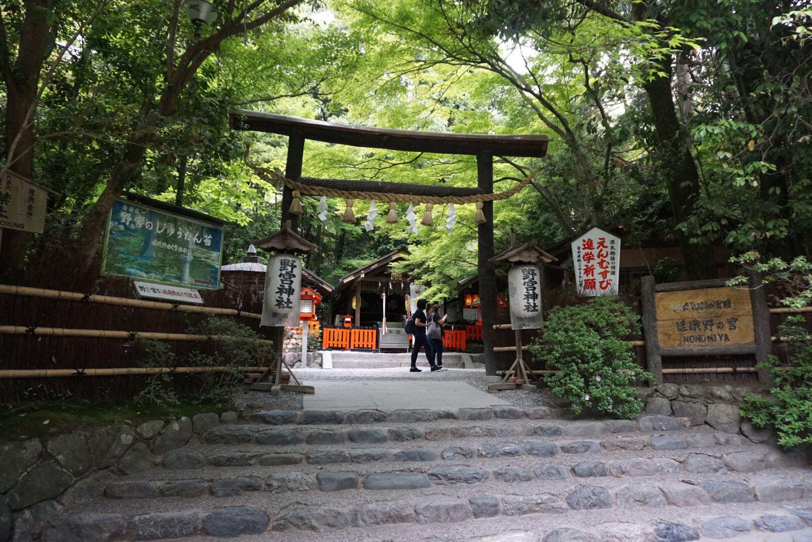 京都野宫神社攻略 野宫神社门票 地址 野宫神社游览攻略 马蜂窝