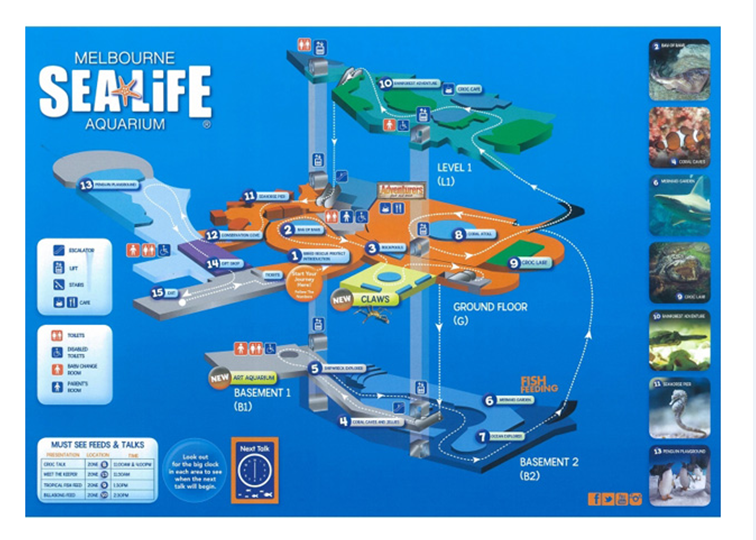 澳大利亚 墨尔本水族馆sealife 门票 1分钟内闪电出票