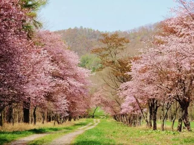 潜派旅行