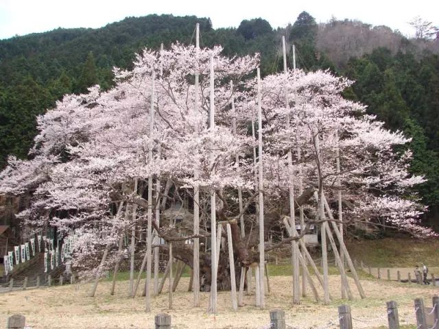 潜派旅行