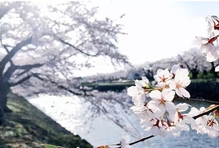 潜派旅行