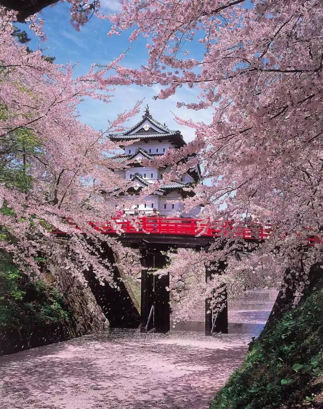 潜派旅行