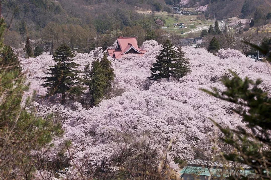 潜派旅行
