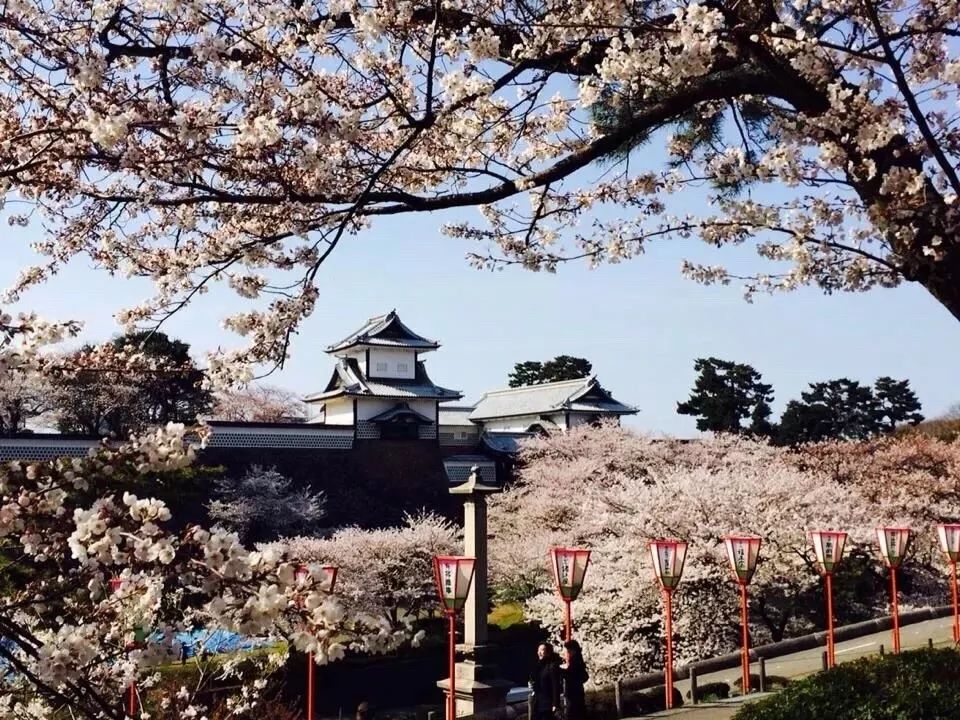 潜派旅行