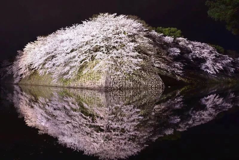 潜派旅行