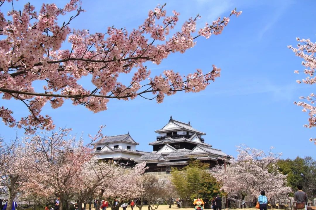 潜派旅行