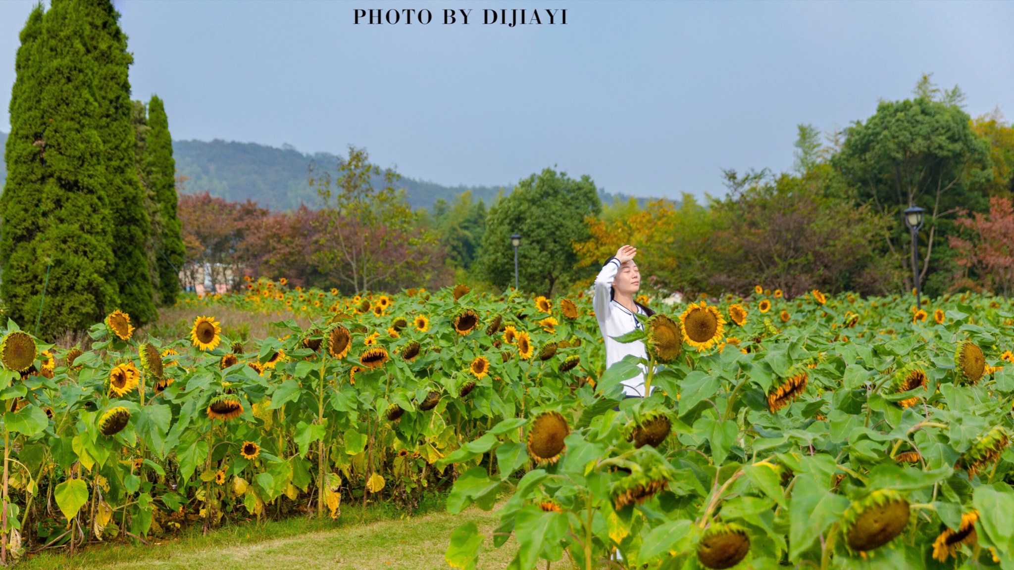 【常州.花谷奇缘】陌上花开,可缓缓归矣