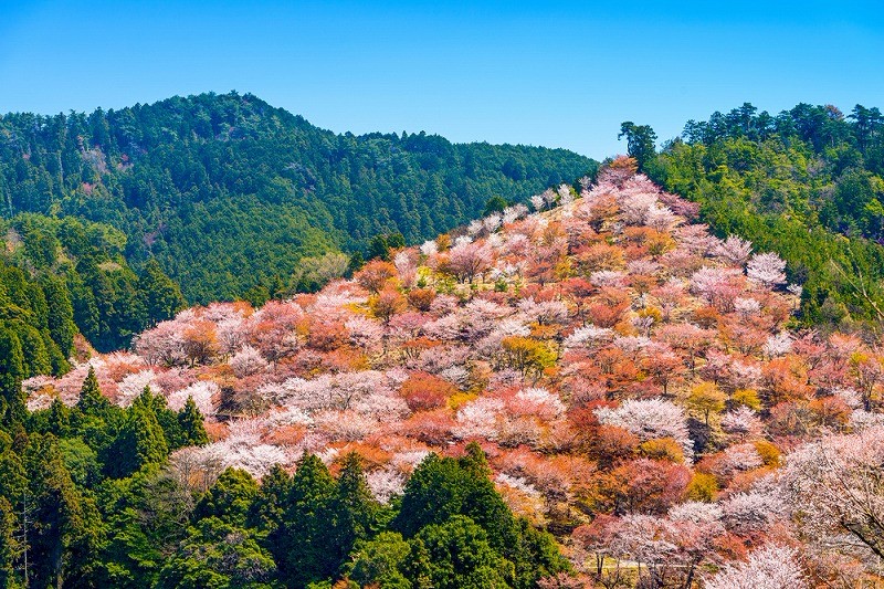 潜派旅行