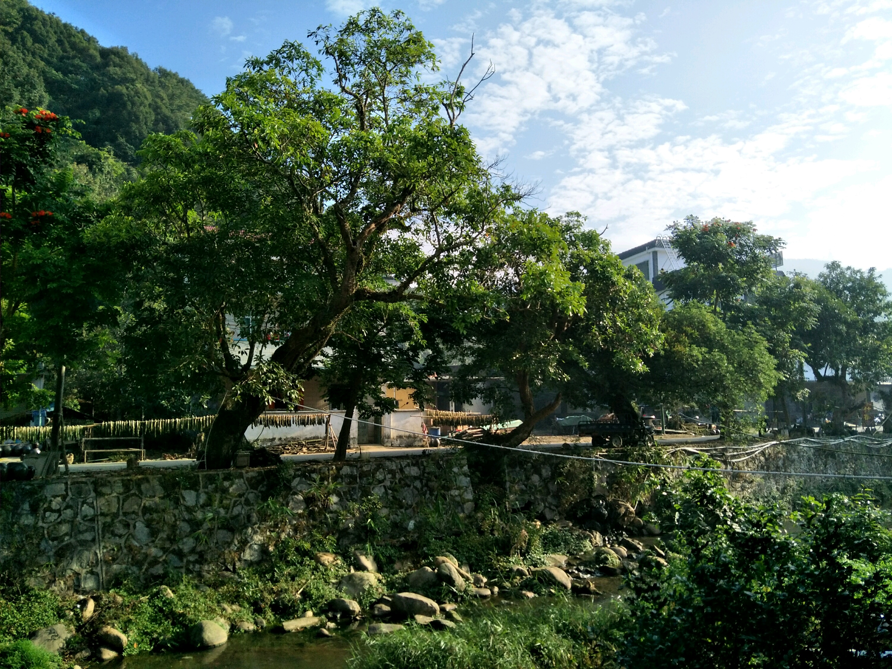 博罗酥醪景区攻略,酥醪景区门票_地址,酥醪景区游览