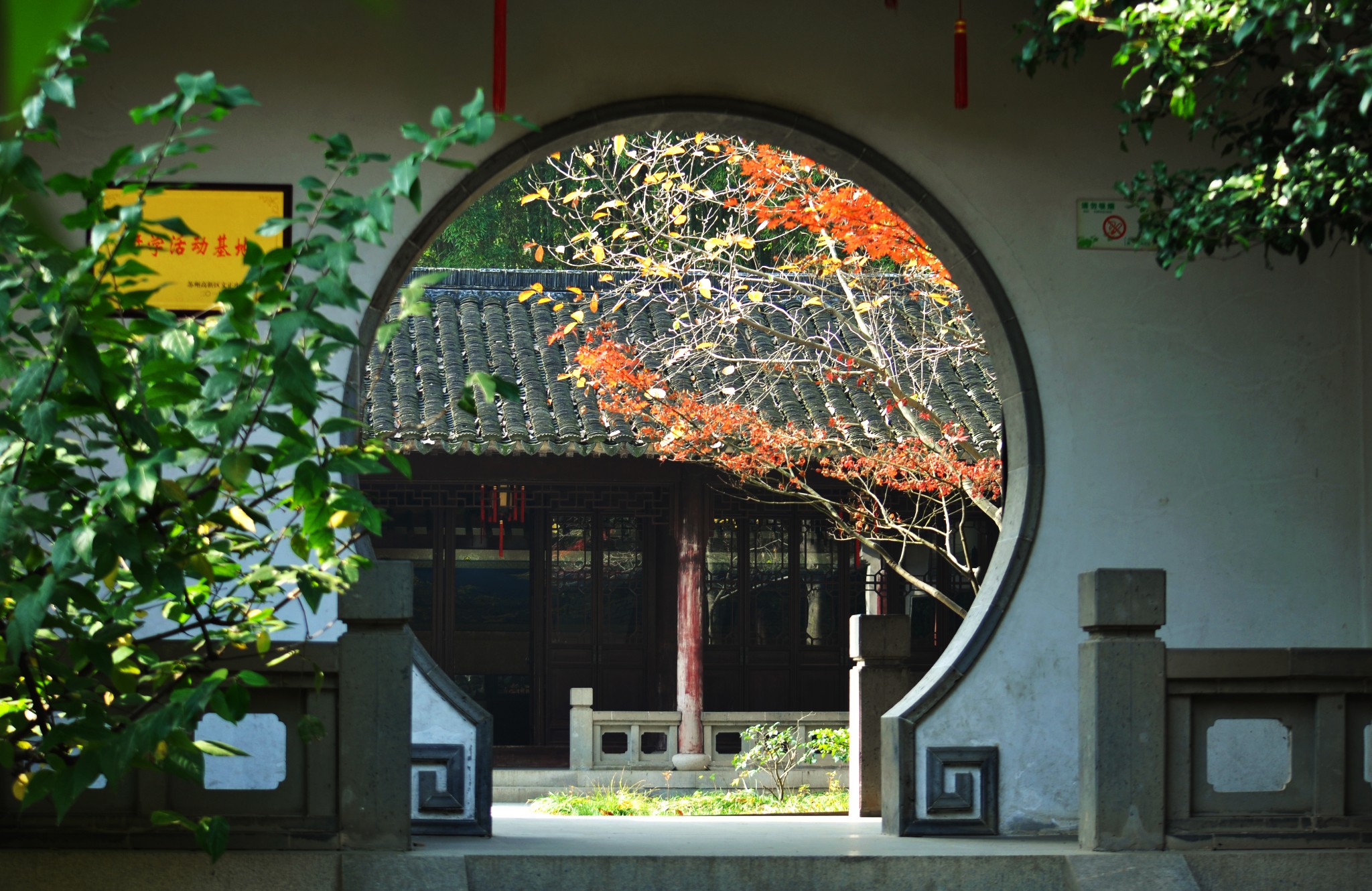 枫叶红于二月花——天平山挡...