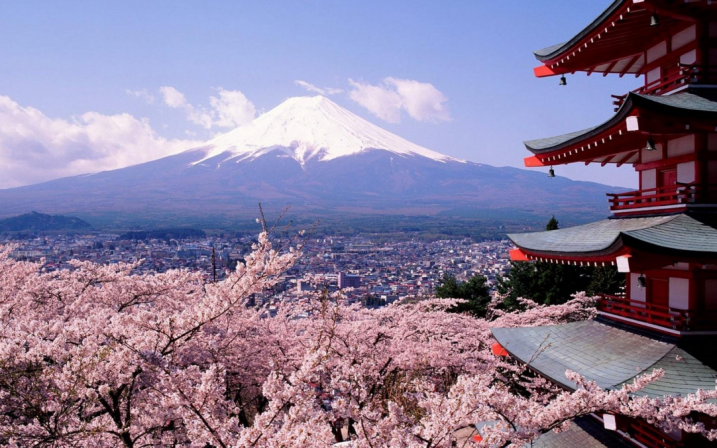 静冈出发 富士山 三岛返回富士山一日游 马蜂窝自由行 马蜂窝自由行