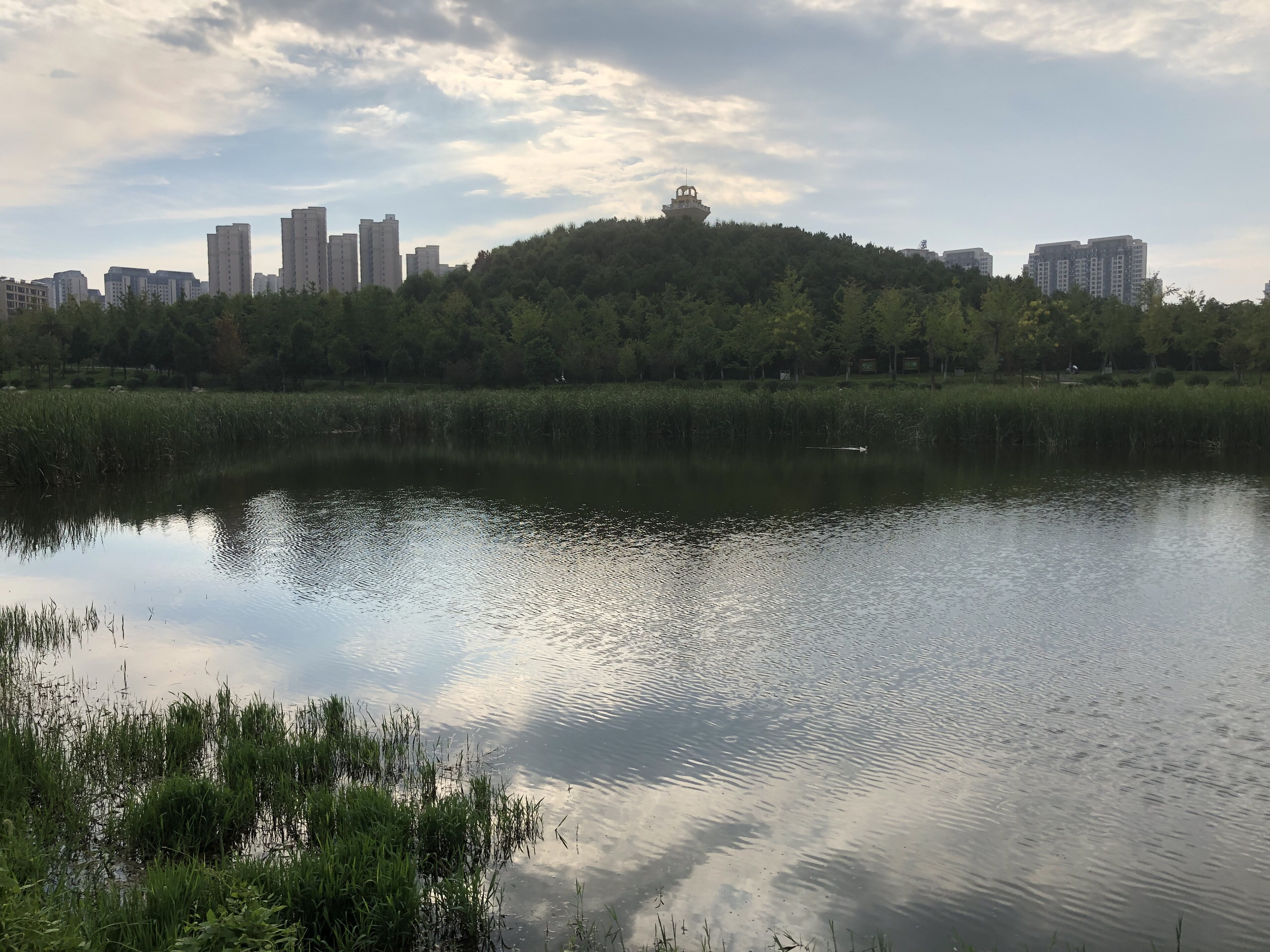 江夏区旅游景点