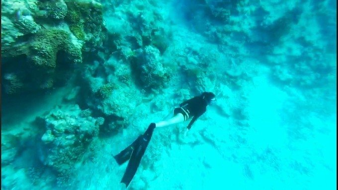 西沙群岛几月去风浪小天气好