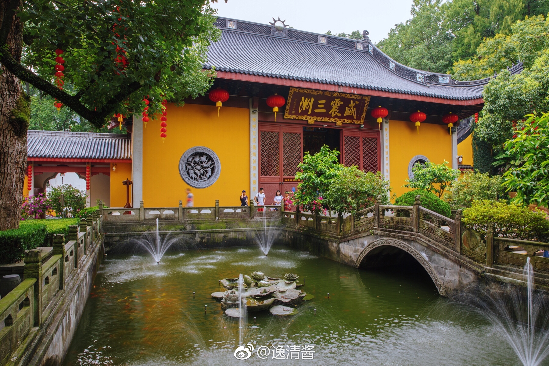 杭州·city walk | 结缘本诺,戏水九溪,漫游西湖,天竺佛国,法喜祈福