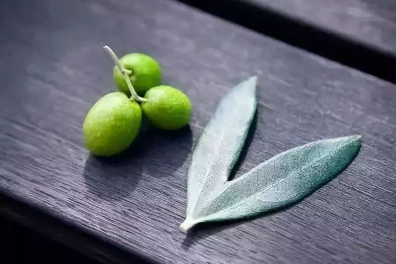 潜派旅行